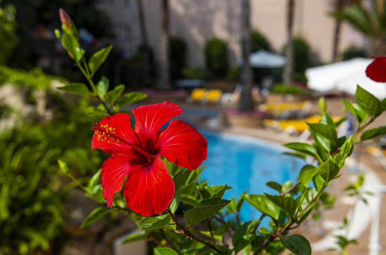Hotel Guitart Rosa - Adults Only Lloret de Mar Exterior foto